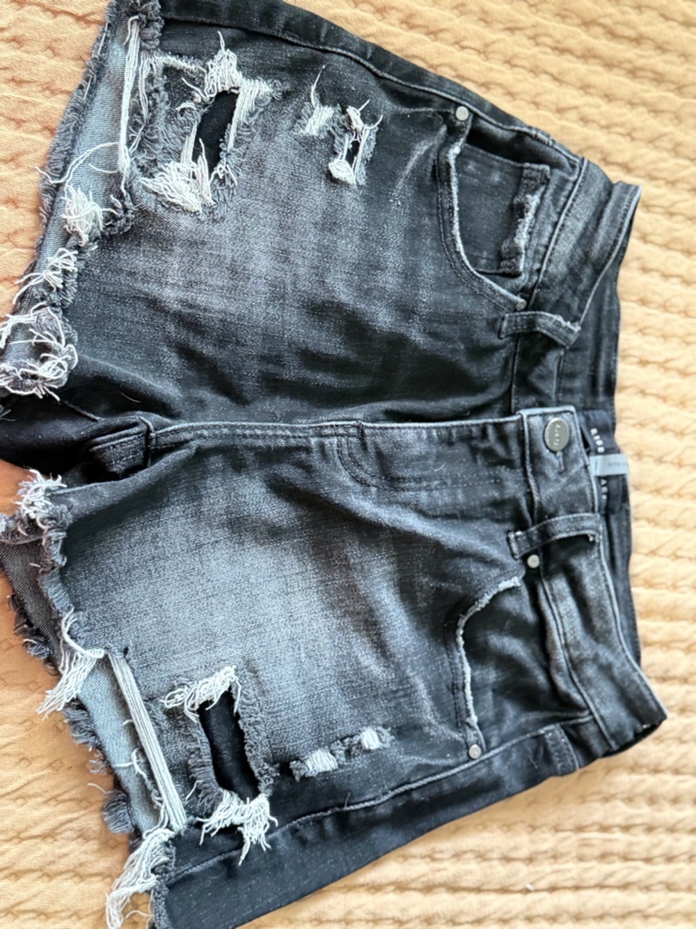 Risen Jeans Women's Black Distressed Denim Cutoff Shorts